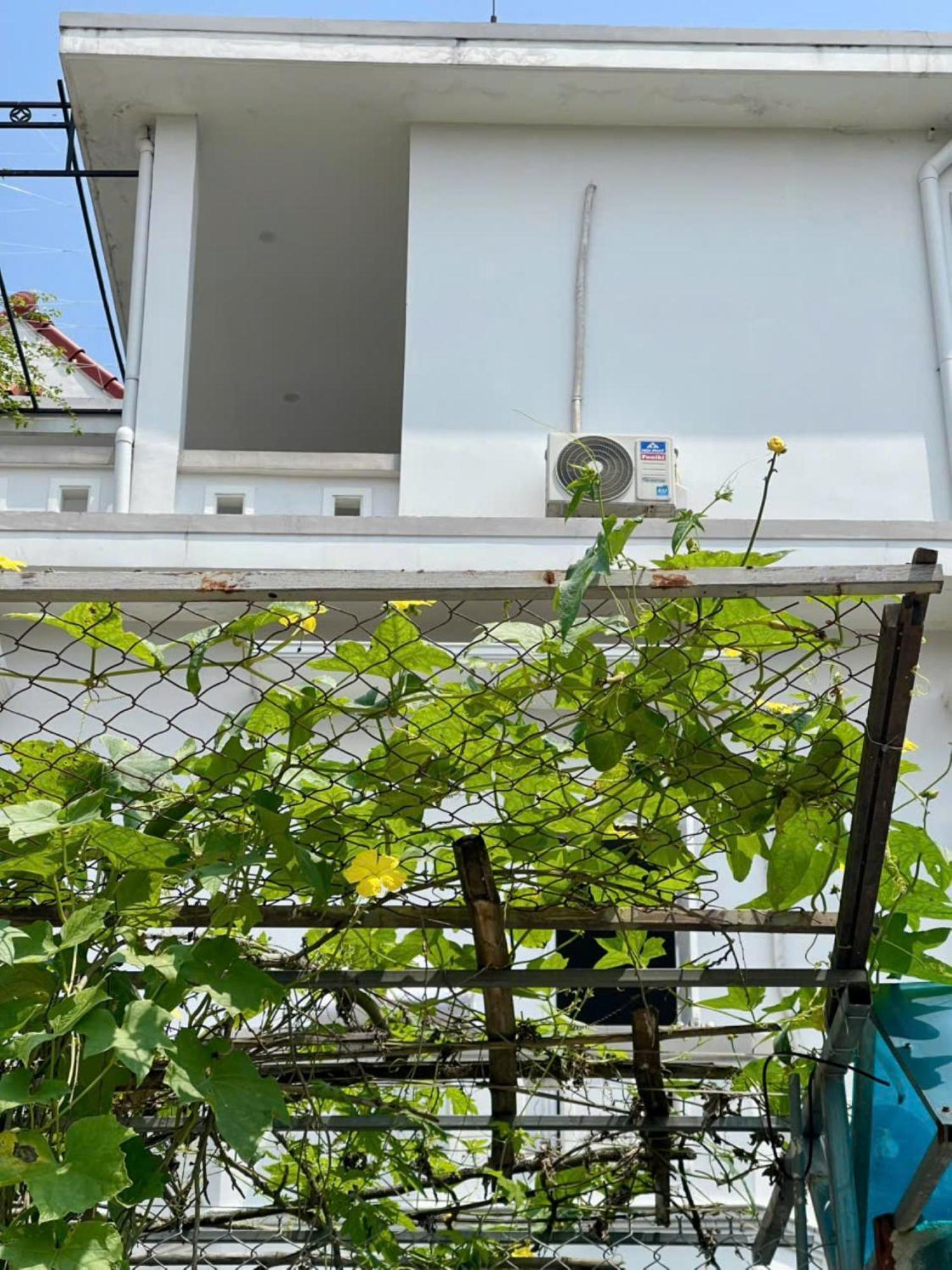 Nhat Long Homestay هوي المظهر الخارجي الصورة